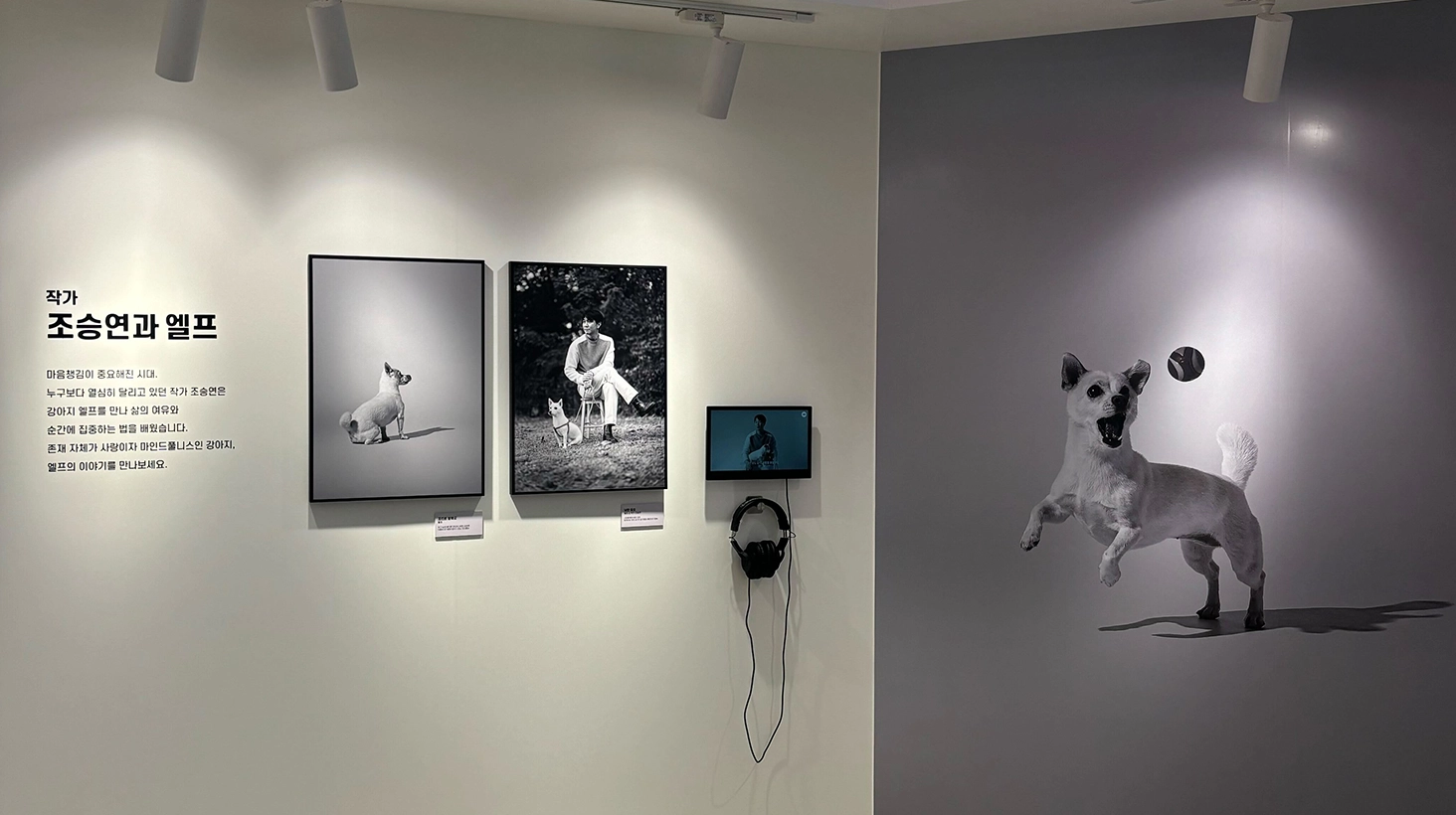 캠페인 상세 이미지