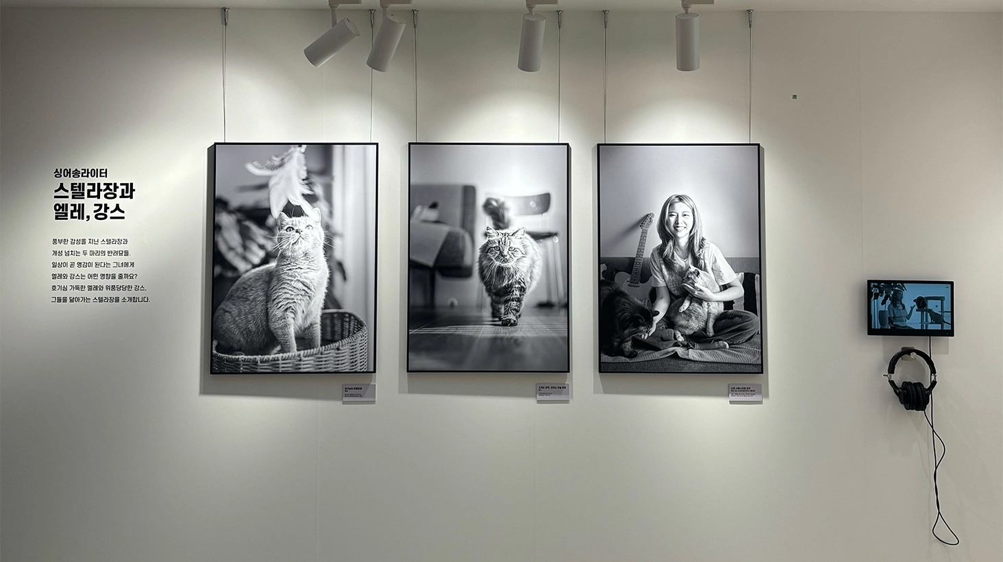 캠페인 상세 이미지