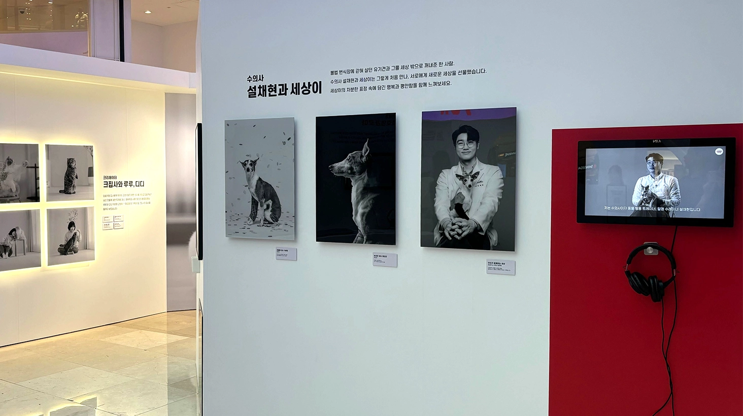 캠페인 상세 이미지