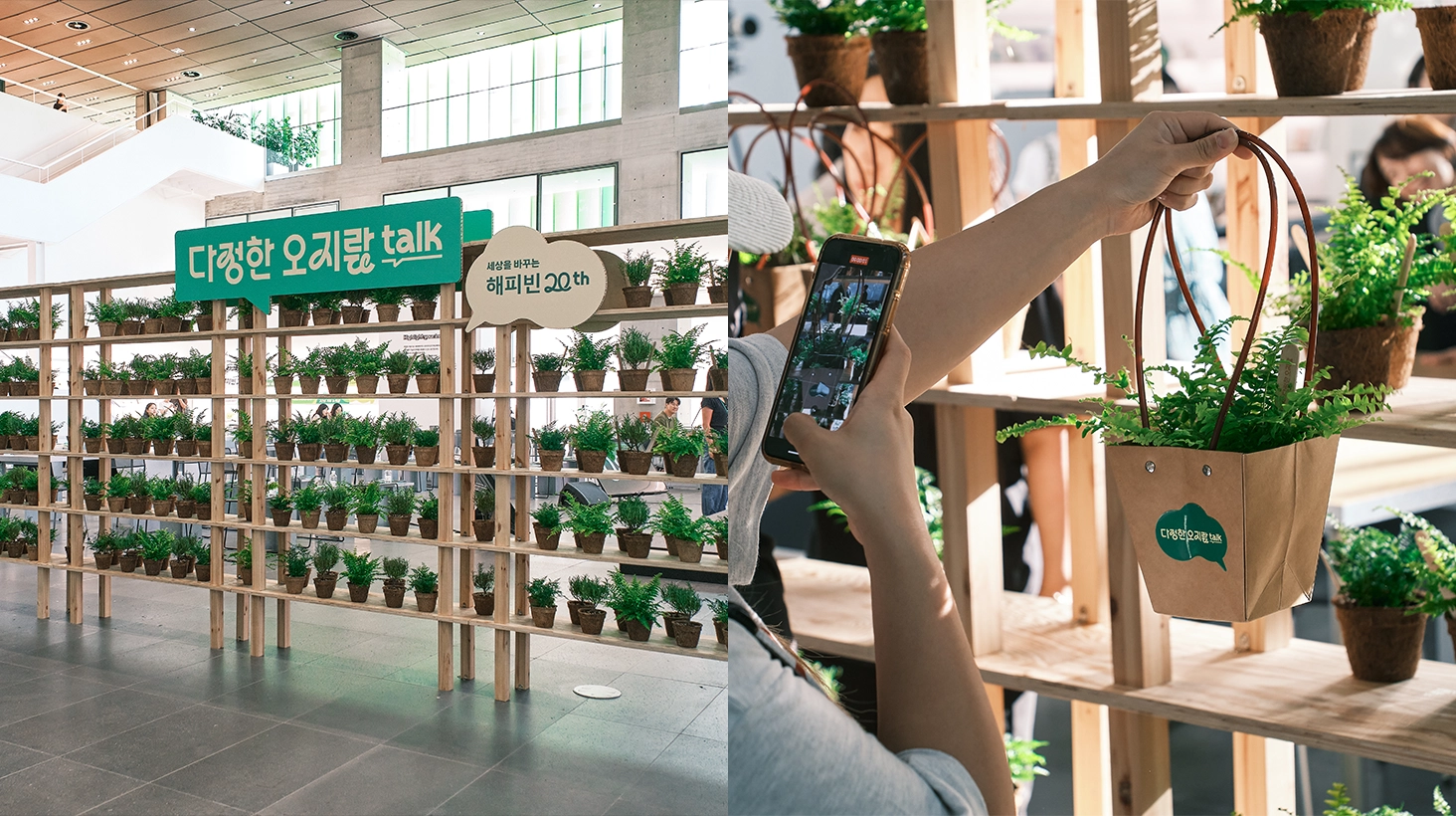 캠페인 상세 이미지